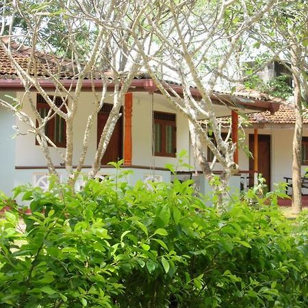 Calm Garden Cabanas Tangalle Ngoại thất bức ảnh
