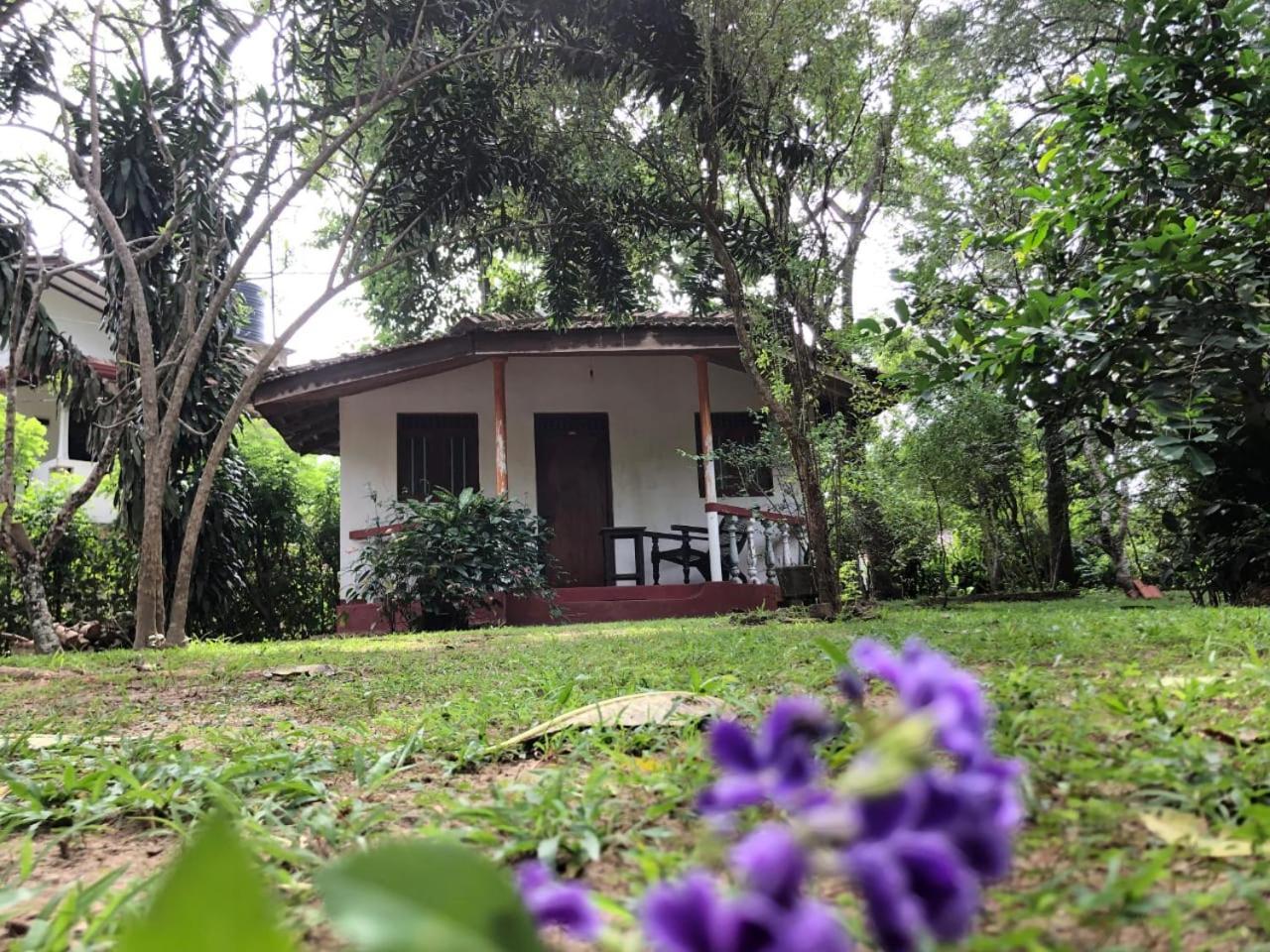 Calm Garden Cabanas Tangalle Ngoại thất bức ảnh