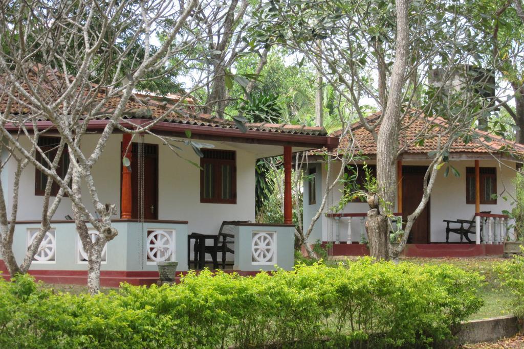 Calm Garden Cabanas Tangalle Ngoại thất bức ảnh