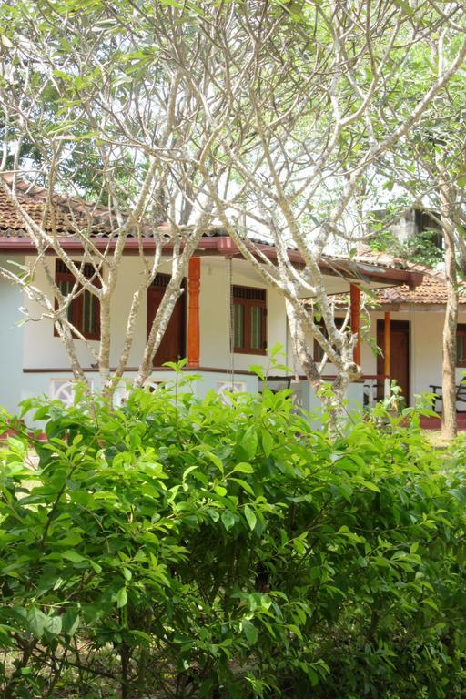 Calm Garden Cabanas Tangalle Ngoại thất bức ảnh