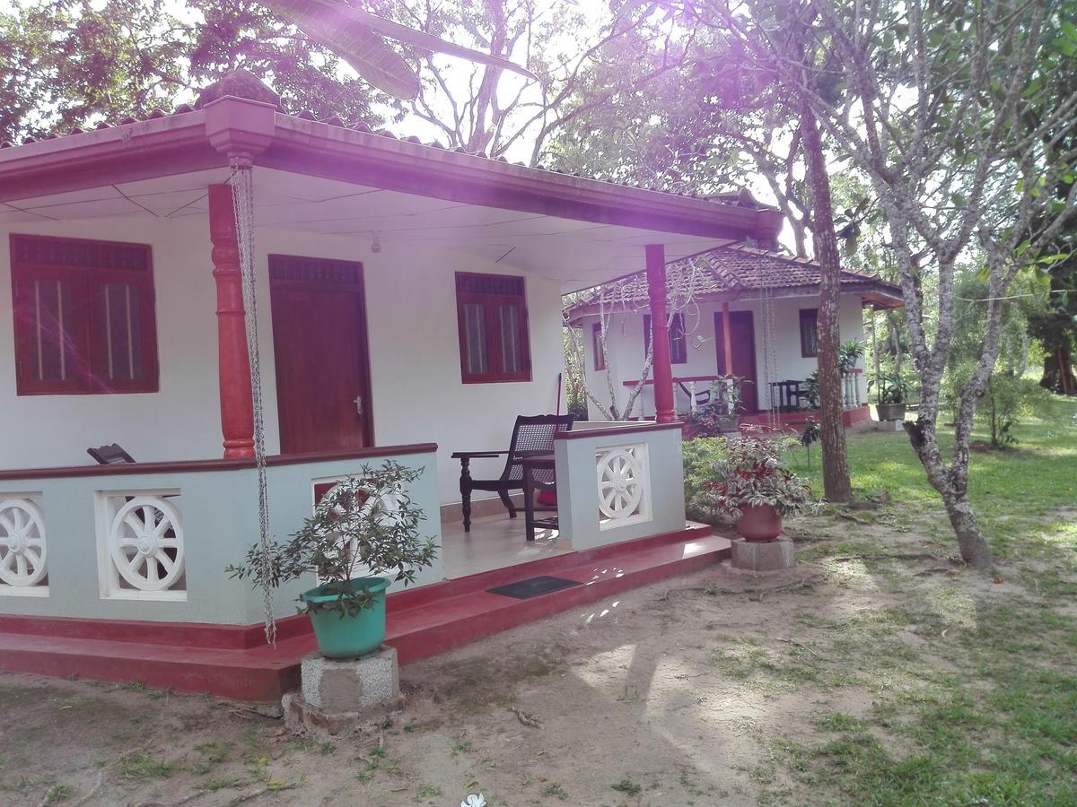 Calm Garden Cabanas Tangalle Ngoại thất bức ảnh