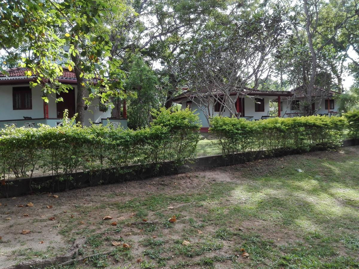 Calm Garden Cabanas Tangalle Ngoại thất bức ảnh