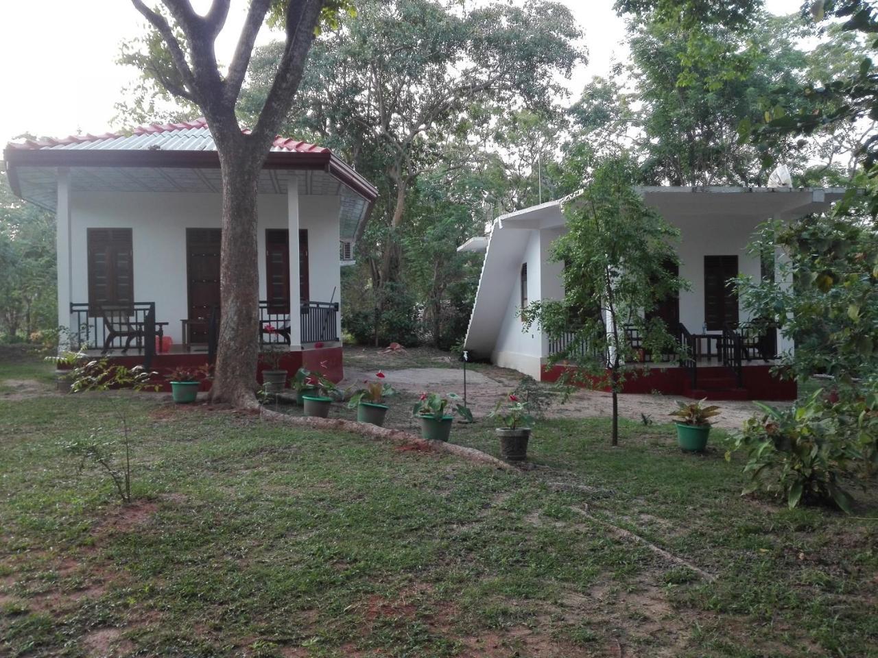 Calm Garden Cabanas Tangalle Ngoại thất bức ảnh