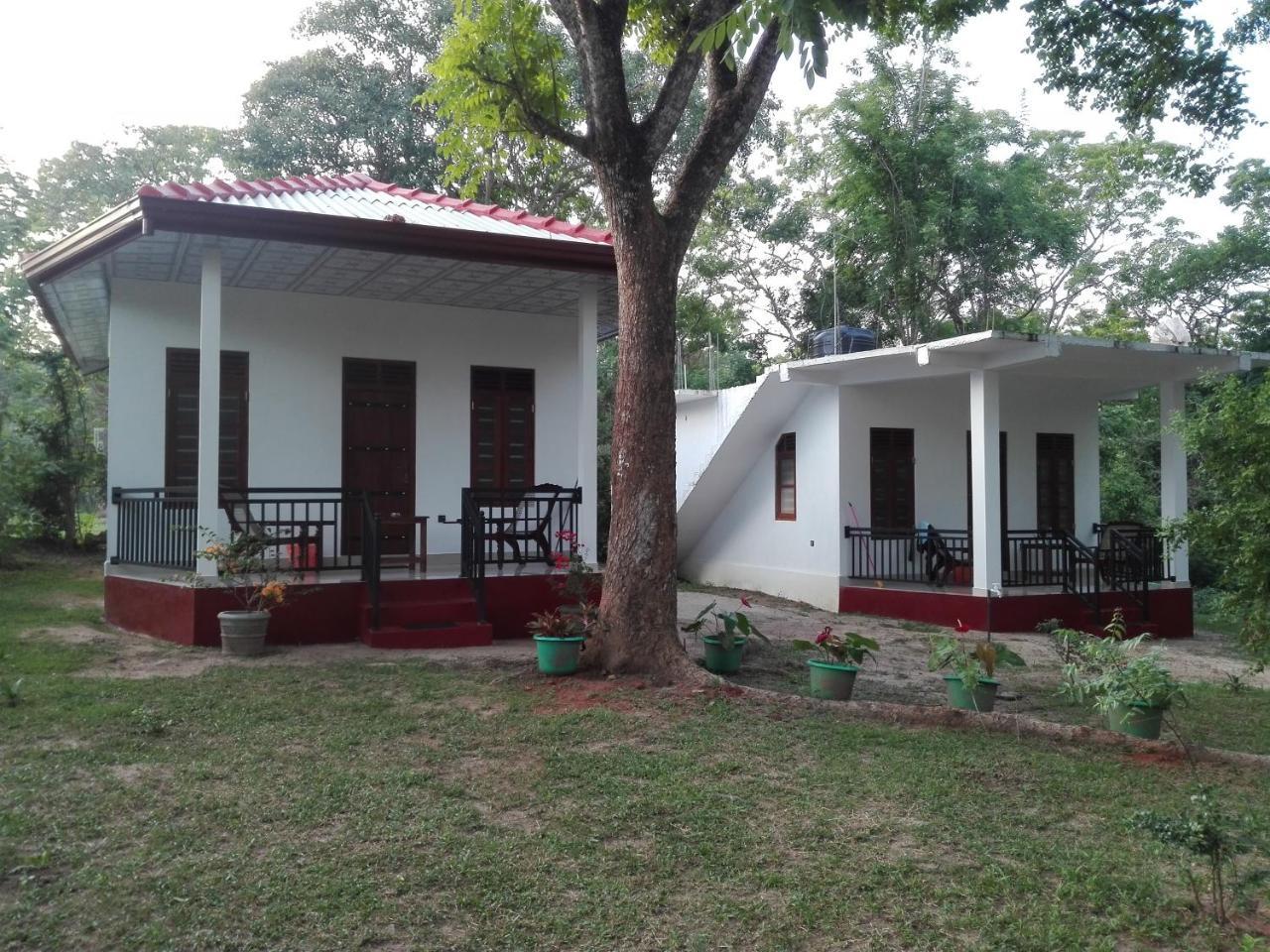 Calm Garden Cabanas Tangalle Ngoại thất bức ảnh